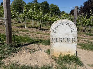 Dépannage chauffe-eau Meyzieu